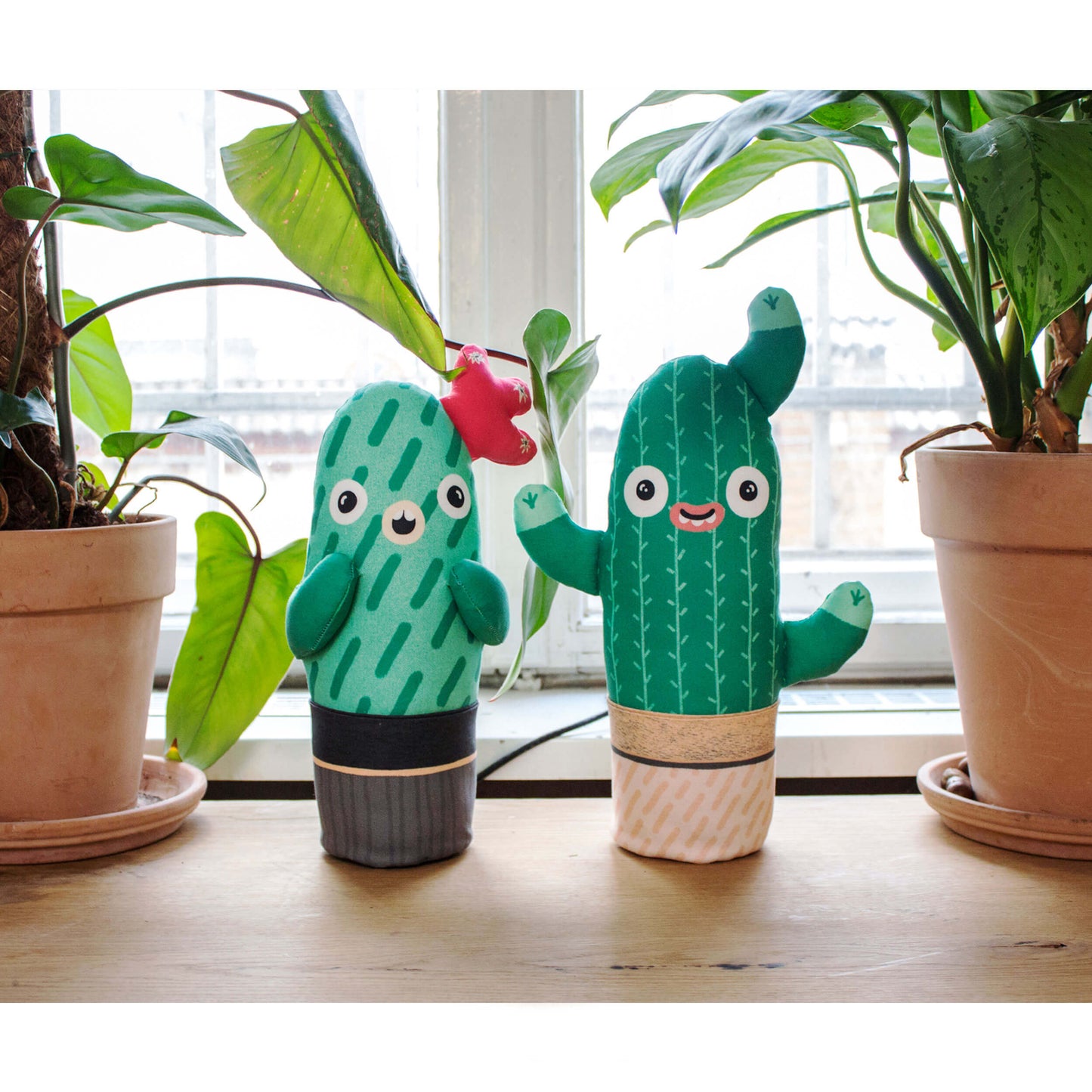 Louise the cacti plush toy, soft plant